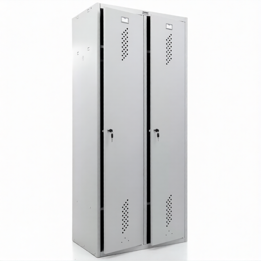 Шкаф ПРАКТИК LS-21-80D